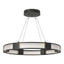 Hubbardton Forge 2022 Black Frosted Glass (FD) Standard Aura Glass Pendant