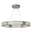 Hubbardton Forge 2022 Vintage Platinum Frosted Glass (FD) Standard Aura Glass Pendant