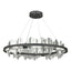 Hubbardton Forge 2020 Black Vintage Platinum Standard Hildene Circular LED Pendant