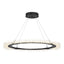 Hubbardton Forge 2017 Black Standard Anemone Circular LED Pendant
