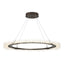 Hubbardton Forge 2017 Bronze Standard Anemone Circular LED Pendant