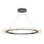 Hubbardton Forge 2017 Dark Smoke Standard Anemone Circular LED Pendant