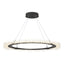 Hubbardton Forge 2017 Natural Iron Standard Anemone Circular LED Pendant