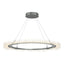 Hubbardton Forge 2017 Vintage Platinum Standard Anemone Circular LED Pendant