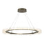 Hubbardton Forge 2017 Soft Gold Standard Anemone Circular LED Pendant