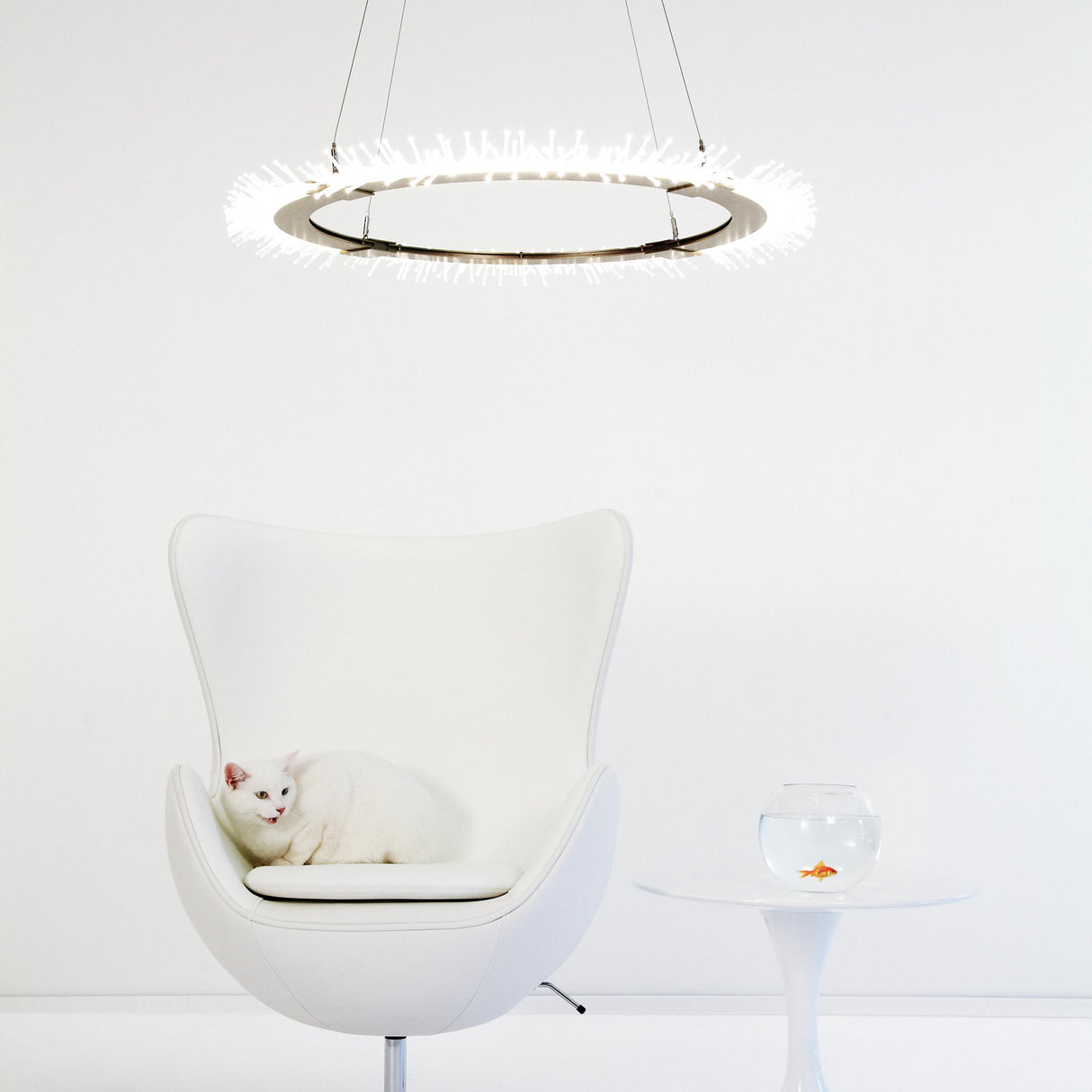 Hubbardton Forge 2017 Soft Gold Standard Anemone Circular LED Pendant
