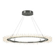 Hubbardton Forge 2017 Sterling Standard Anemone Circular LED Pendant