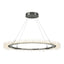 Hubbardton Forge 2017 Sterling Standard Anemone Circular LED Pendant