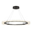 Hubbardton Forge 2017 Oil Rubbed Bronze Standard Anemone Circular LED Pendant