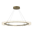 Hubbardton Forge 2017 Modern Brass Standard Anemone Circular LED Pendant