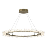 Hubbardton Forge 2017 Modern Brass Standard Anemone Circular LED Pendant