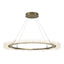 Hubbardton Forge 2017 Modern Brass Standard Anemone Circular LED Pendant
