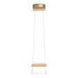 Hubbardton Forge 2018 Soft Gold Maple Wood Clear Glass (ZM) Standard Cowbell LED Mini Pendant