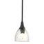 Hubbardton Forge 2000 Black Water Glass (LL) Multi Trumpet Mini Pendant