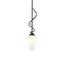 Hubbardton Forge 2011 Black Opal Glass (GG) Multi Flora Down Light Mini Pendant