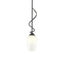Hubbardton Forge 2011 Natural Iron Opal Glass (GG) Multi Flora Down Light Mini Pendant