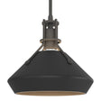 Hubbardton Forge 2020 Natural Iron Black Multi Henry with Chamfer Pendant