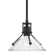 Hubbardton Forge 2020 Black Clear Glass (ZM) Multi Henry Mini Pendant