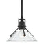 Hubbardton Forge 2020 Black Clear Glass (ZM) Multi Henry Mini Pendant