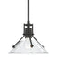 Hubbardton Forge 2020 Natural Iron Clear Glass (ZM) Multi Henry Mini Pendant