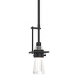 Hubbardton Forge 2012 Black Clear Glass (ZM) Multi Erlenmeyer Small Mini Pendant