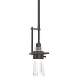 Hubbardton Forge 2012 Oil Rubbed Bronze Clear Glass (ZM) Multi Erlenmeyer Small Mini Pendant
