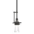 Hubbardton Forge 2012 Natural Iron Clear Glass (ZM) Multi Erlenmeyer Small Mini Pendant