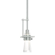 Hubbardton Forge 2012 Vintage Platinum Clear Glass (ZM) Multi Erlenmeyer Small Mini Pendant