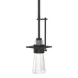 Hubbardton Forge 2013 Black Clear Glass (ZM) Multi Erlenmeyer Mini Pendant