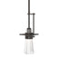 Hubbardton Forge 2013 Oil Rubbed Bronze Clear Glass (ZM) Multi Erlenmeyer Mini Pendant