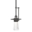 Hubbardton Forge 2013 Natural Iron Clear Glass (ZM) Multi Erlenmeyer Mini Pendant