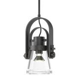 Hubbardton Forge 2015 Black Clear Glass (ZM) Multi Erlenmeyer Large Mini Pendant