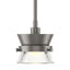 Hubbardton Forge 2013 Dark Smoke Clear Glass (ZM) Multi Apparatus Mini Pendant