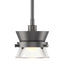 Hubbardton Forge 2013 Black Clear Glass (ZM) Multi Apparatus Mini Pendant