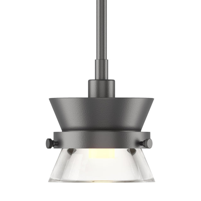 Hubbardton Forge 2013 Black Clear Glass (ZM) Multi Apparatus Mini Pendant