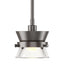 Hubbardton Forge 2013 Oil Rubbed Bronze Clear Glass (ZM) Multi Apparatus Mini Pendant