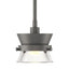 Hubbardton Forge 2013 Natural Iron Clear Glass (ZM) Multi Apparatus Mini Pendant