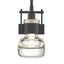 Hubbardton Forge 2013 Black Clear Glass (ZM) Multi Cuff Small Mini Pendant