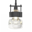 Hubbardton Forge 2016 Black Clear Glass (ZM) Multi Cuff Large Mini Pendant