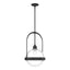 Hubbardton Forge 2019 Black Clear Glass (ZM) Multi Atlas Pendant