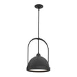 Hubbardton Forge 2020 Black Black Multi Atlas Small Pendant