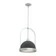 Hubbardton Forge 2020 Vintage Platinum Black Multi Atlas Small Pendant