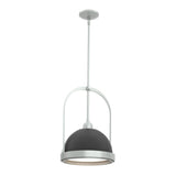 Hubbardton Forge 2020 Vintage Platinum Black Multi Atlas Small Pendant