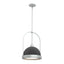 Hubbardton Forge 2020 Vintage Platinum Black Multi Atlas Small Pendant