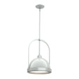 Hubbardton Forge 2020 Vintage Platinum Vintage Platinum Multi Atlas Small Pendant