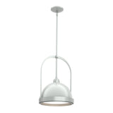 Hubbardton Forge 2020 Vintage Platinum Vintage Platinum Multi Atlas Small Pendant