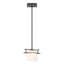 Hubbardton Forge 2009 Natural Iron Opal Glass (GG) Multi Arc Ellipse Mini Pendant