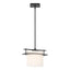 Hubbardton Forge 2011 Black Opal Glass (GG) Multi Arc Ellipse Large Mini Pendant