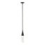 Hubbardton Forge 2019 Bronze Clear Glass (ZM) Multi Fritz Mini Pendant