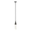 Hubbardton Forge 2019 Dark Smoke Clear Glass (ZM) Multi Fritz Mini Pendant